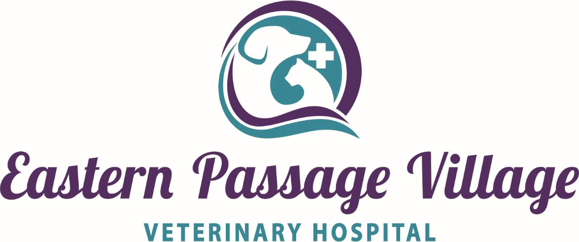 Eastern Passage Village Veterinary Hospital
