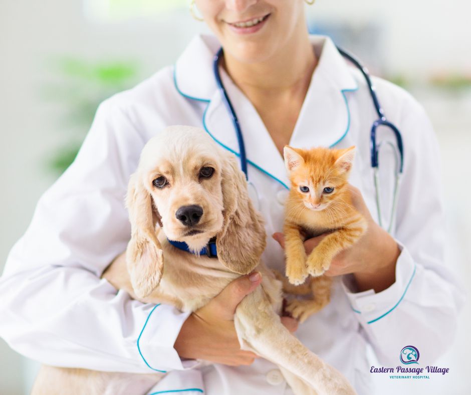 Veterinarian holding a puppy and a kitten